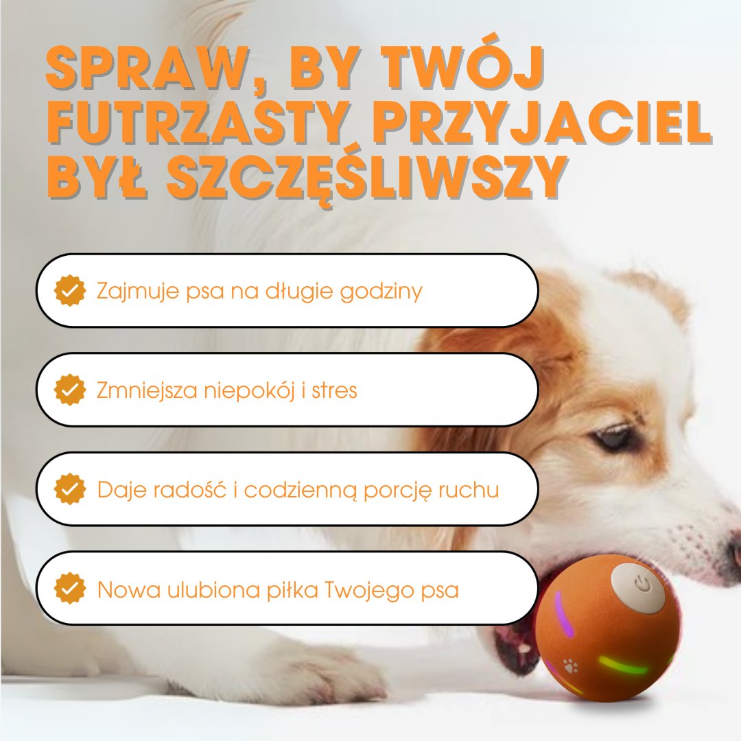 ZoomBall™ - Interaktywna piłka, którą kochają wszystkie psy