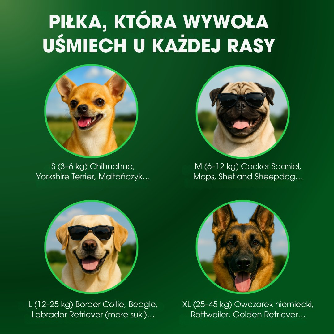 ZoomBall™ - Interaktywna piłka, którą kochają wszystkie psy
