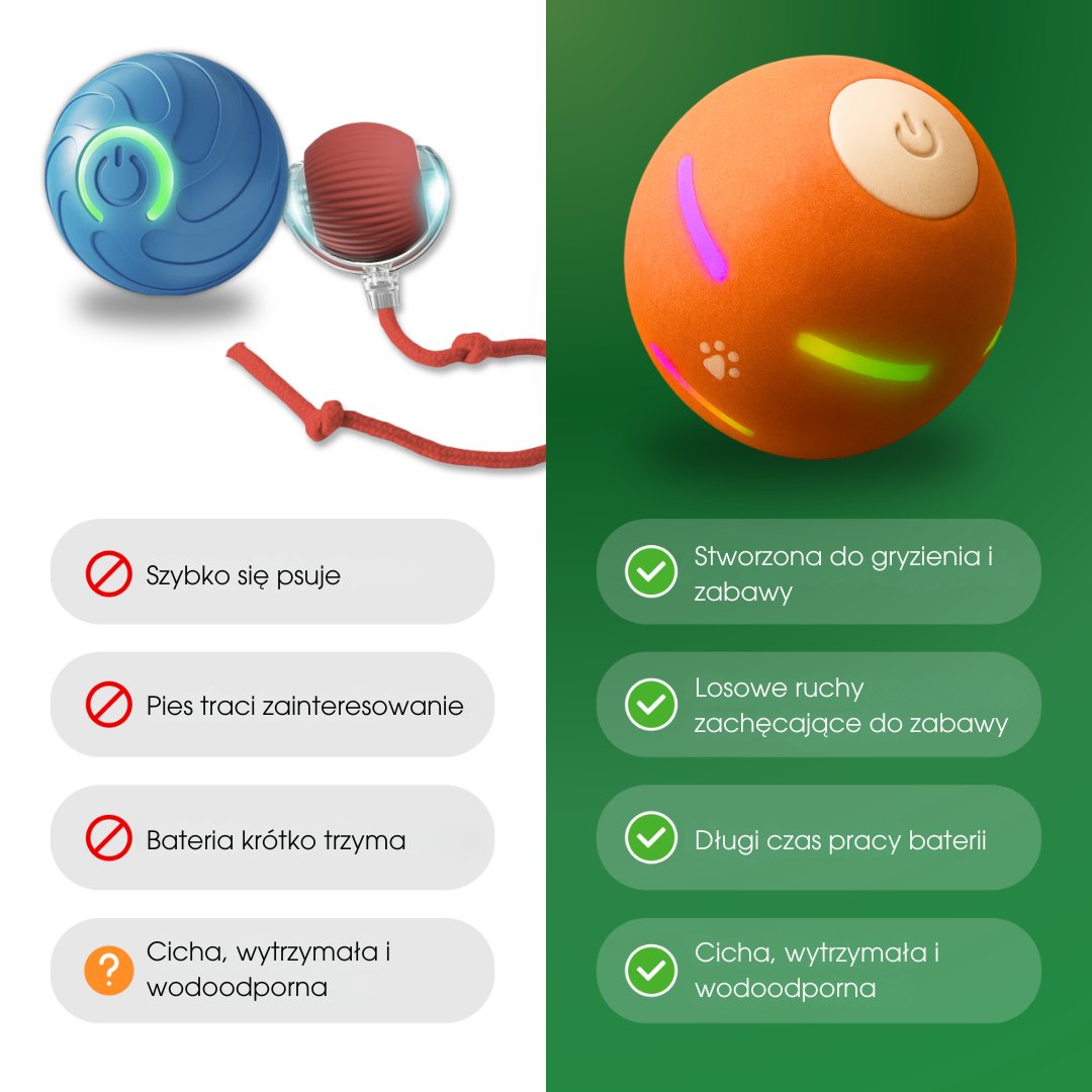 ZoomBall™ - Interaktywna piłka, którą kochają wszystkie psy