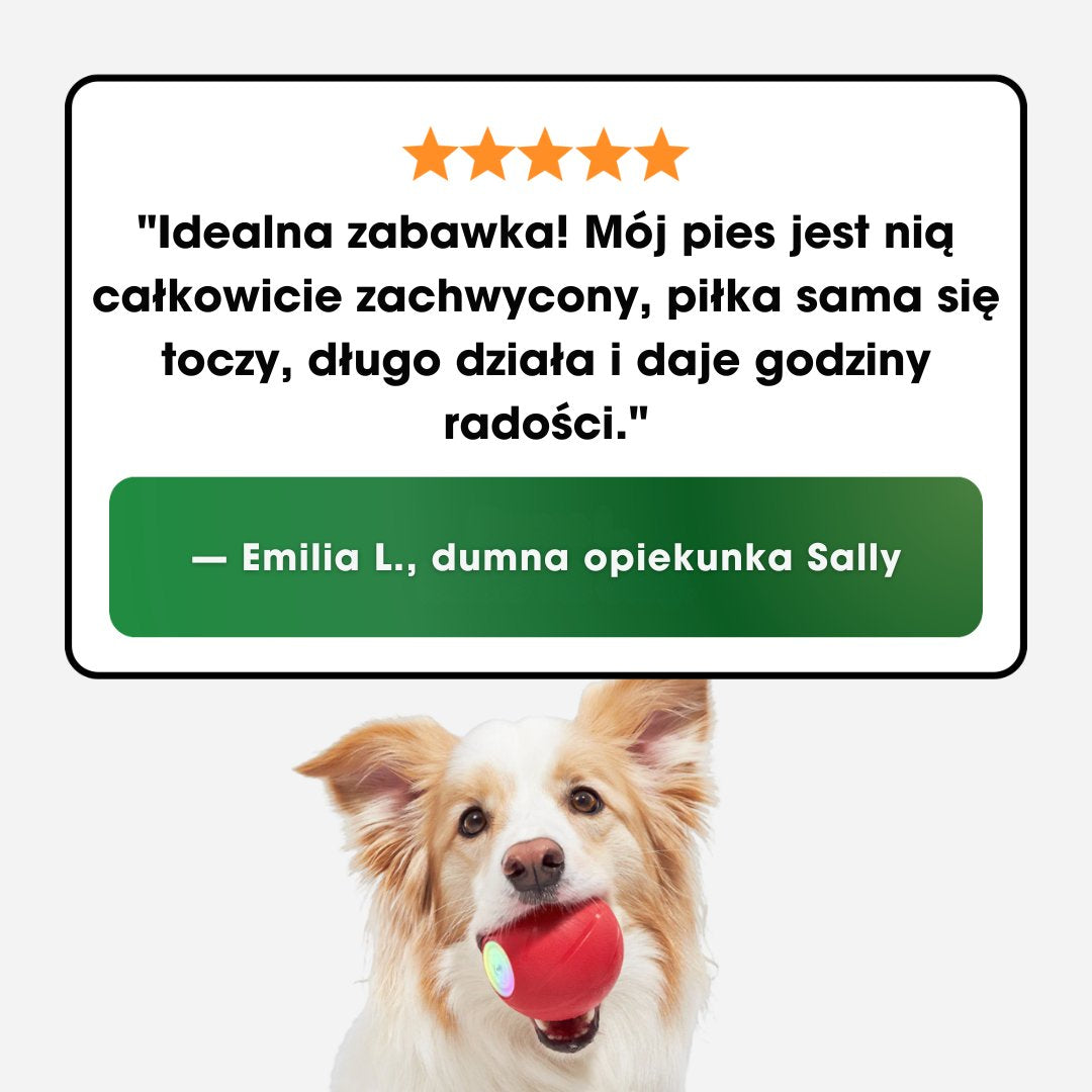 ZoomBall™ - Interaktywna piłka, którą kochają wszystkie psy