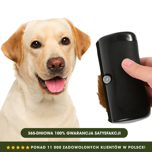 ShedGuard™ - Szczotka dla psów, która szybko usuwa luźną sierść