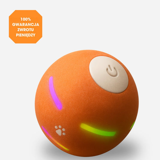ZoomBall™ - Interaktywna piłka, którą kochają wszystkie psy