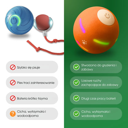 ZoomBall™ - Interaktywna piłka, którą kochają wszystkie psy